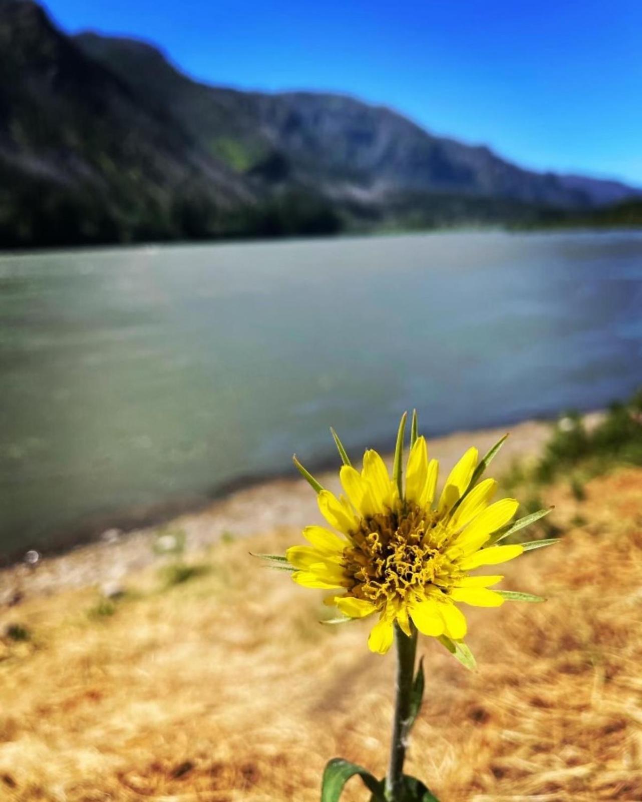 Gorgeous Gateway To The Columbia River Gorge Washougal Екстер'єр фото