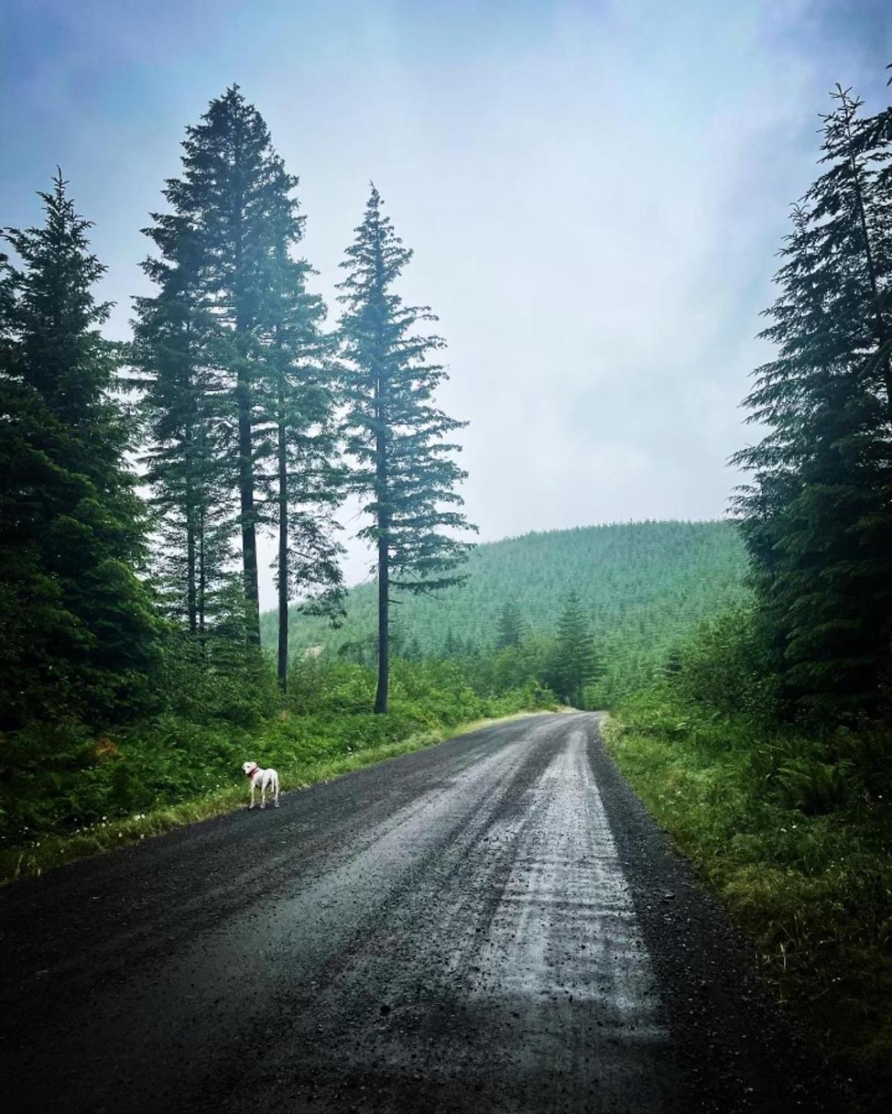 Gorgeous Gateway To The Columbia River Gorge Washougal Екстер'єр фото