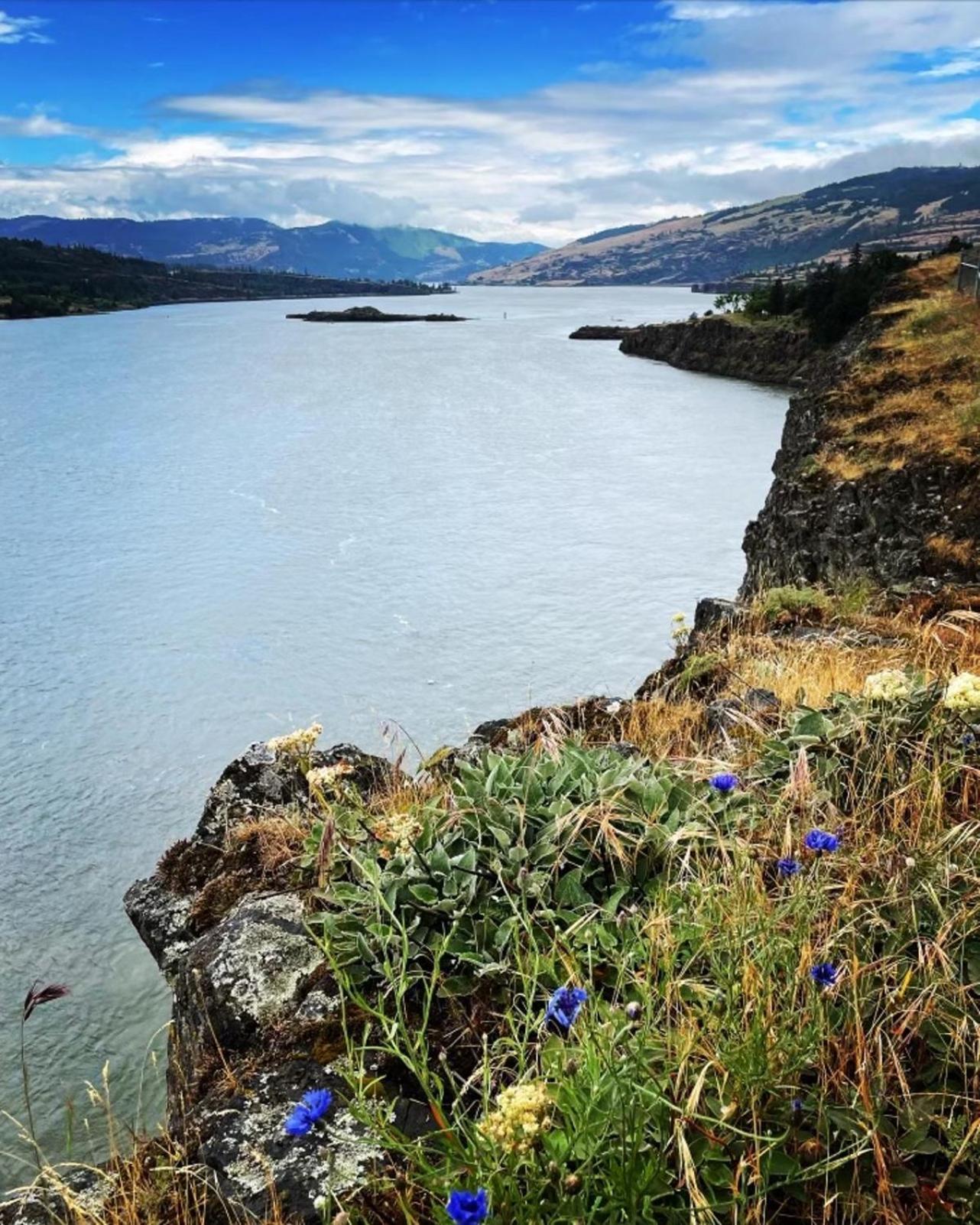 Gorgeous Gateway To The Columbia River Gorge Washougal Екстер'єр фото